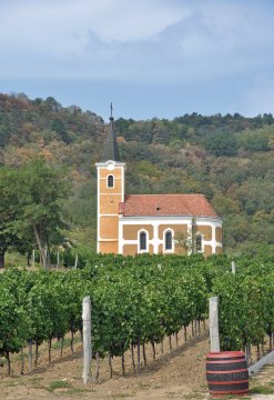 Kirche in den Weinbergen am Badacsony