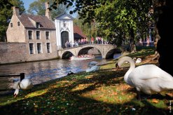 Grachtenfahrt am Beginenhof in Brügge - Begijnhof