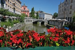 Kirche Mariä Verkündigung und die Drei-Brücken in Ljubljana
