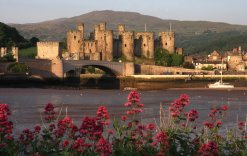 Conwy Castle und Stadt