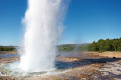 Geysir in Island
