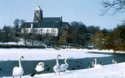 Schlossteich im Winter