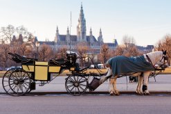 Fiaker in Wien