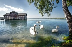 Bootshaus am Ammersee