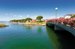 Grado