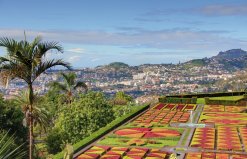 Blick über den Botanischen Garten in Funchal