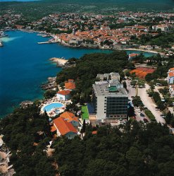 Drazica