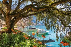 Idylle am Genfer See bei Montreux