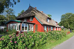 Reetdachhaus in Prerow