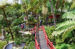 Botanischer Garten am Monte, Funchal
