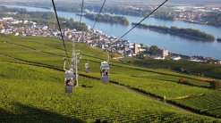 Blick aus der Seilbahn auf Rüdesheim