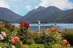 Uferpromenade am Schliersee