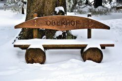 Oberhof im Winter