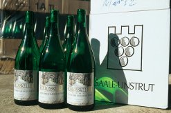 Wein