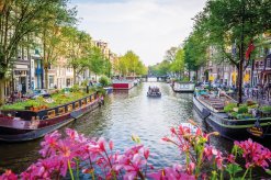 in Amsterdam