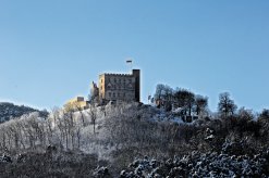 Blick auf das Hambacher Schloss in Neustadt an der Weinstraße