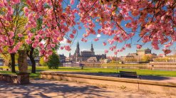 Dresden im Frühling