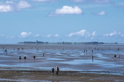 Wattwanderung in Dunen