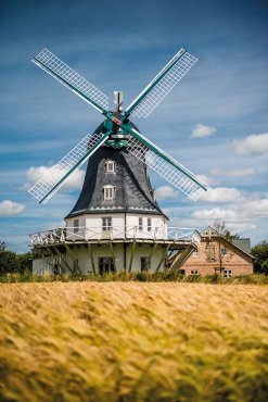 Windmühle auf der Insel Föhr 