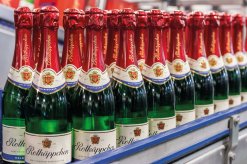 Rotkäppchen Sektkellerei - Produktion
