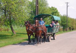 Kutschfahrt in der Puszta