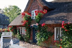 Friesenhaus auf Föhr