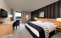 Maritim Hotel Königswinter