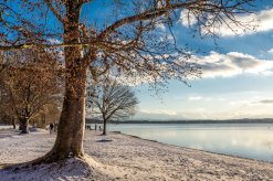 Winter am Starnberger See