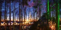 Velener-Waldweihnachtsmarkt