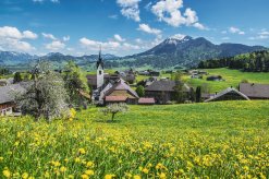 Schwarzenberg