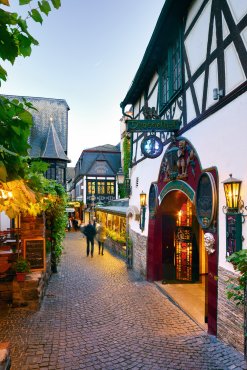 Die berühmte Drosselgasse