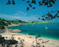 Trebah Beach