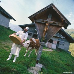 Almsennerei - Almkäse Wildschönau