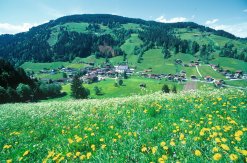 Panoramablick auf Oberau in der Wildschönnau