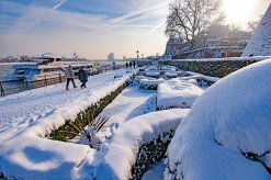 Schneespazierganz am Rheinufer in Bonn