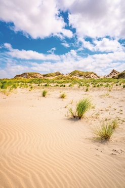 Dünenlandschaft auf Norderney