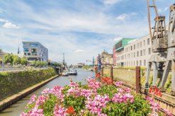 Landesgartenschau Neuss 2026 - Hafenbecken