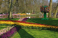 Im Keukenhof