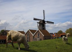 Windmühle und Deich in Texel