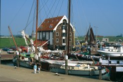 im Hafen von Oudeschild
