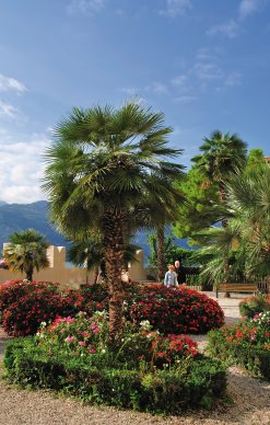 Park in Malcesine