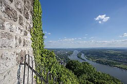 Blick vom Drachenfels auf den Rhein