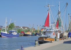 Krabbenfischerhafen von Büsum