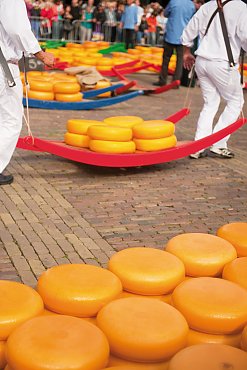 Käsemarkt in Alkmaar