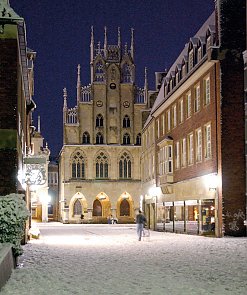 Winterliches Münster