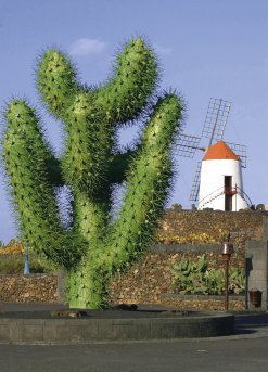 Die acht Meter hohe Kaktus-Skulptur am Eingang des Jardin de Cactus
