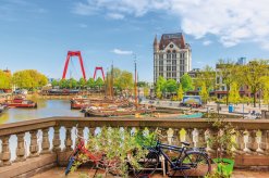 Oude Haven in Rotterdam