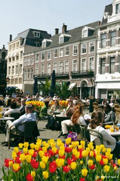 Straßencafes in Rotterdam
