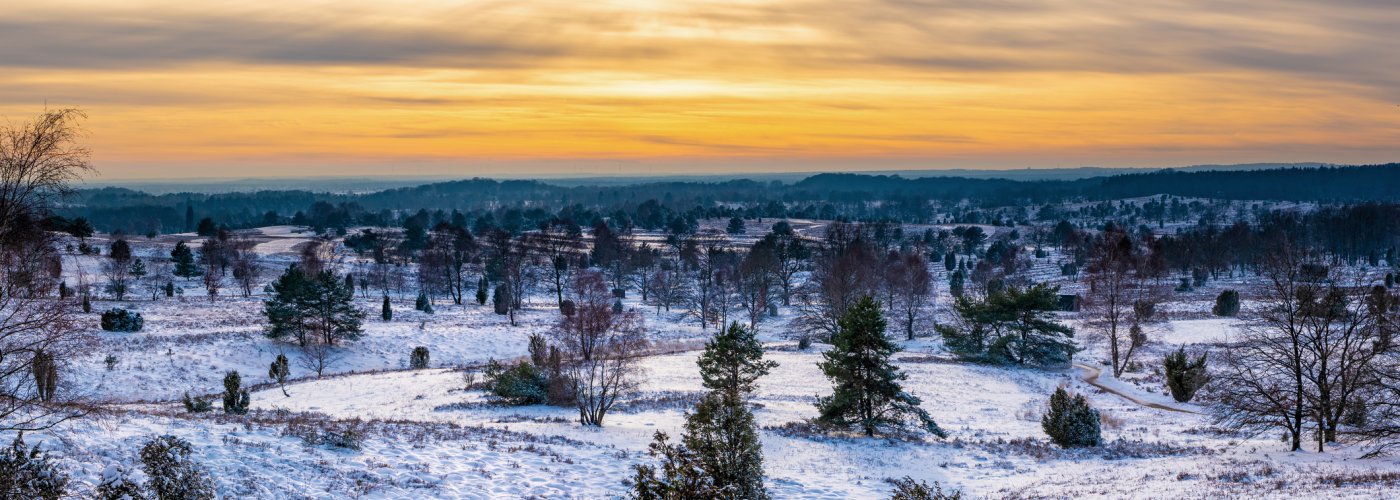 Lüneburger Heide im Winter